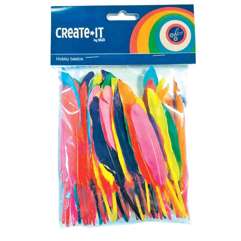 Assorted Feathers Craft Pack – 100 Pieces 1