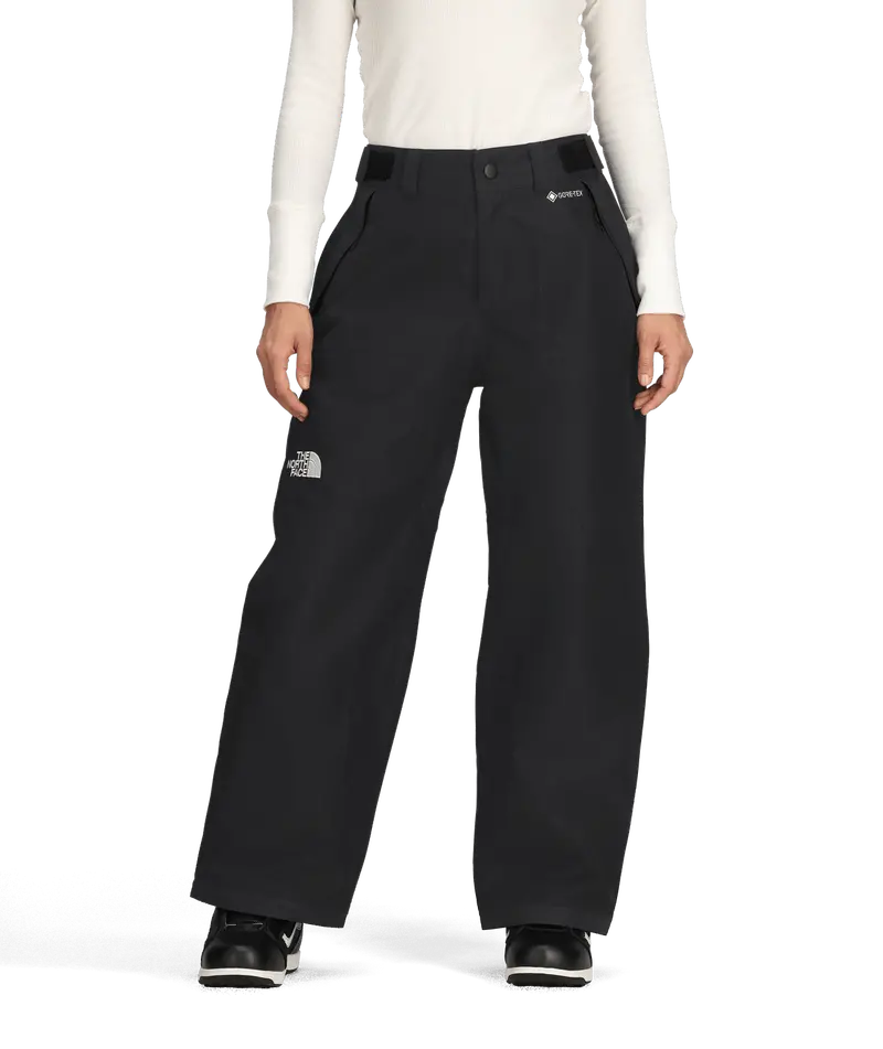 The North Face Gtx Hex Pants 1